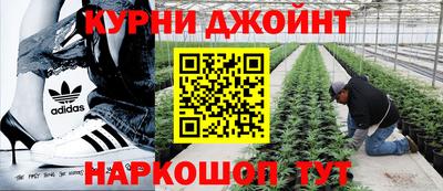 ПСИЛОЦИБИНОВЫЕ ГРИБЫ Абакан
