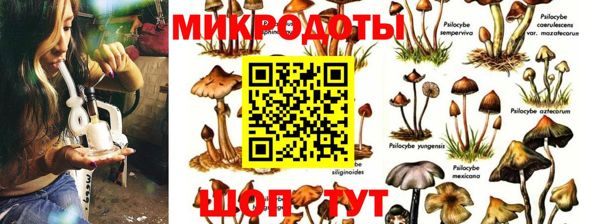 Азнакаево  Галлюциногенные грибы мицелий  Вход с VPN 