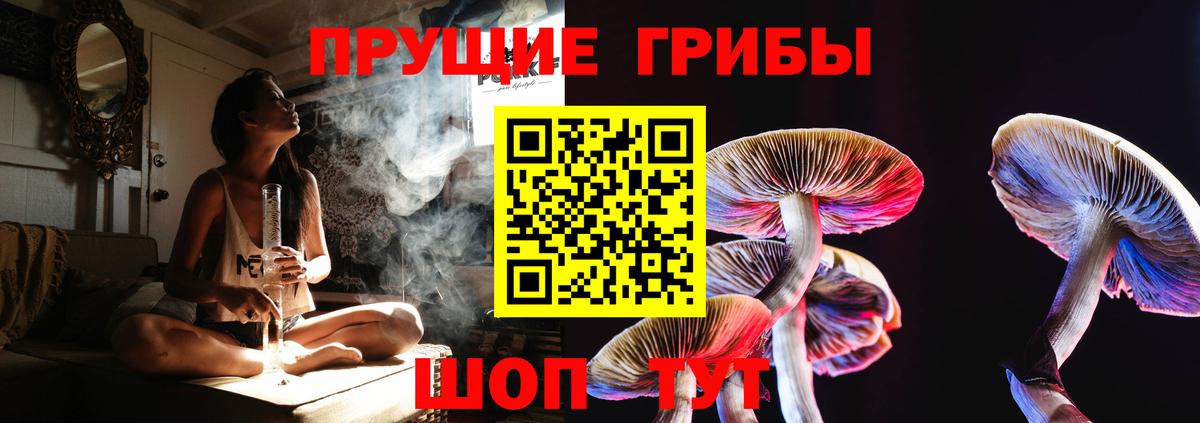 Галлюциногенные грибы мухоморы Азнакаево